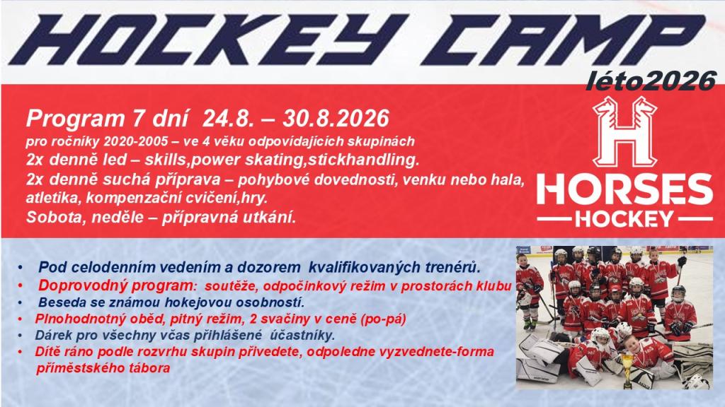 Letní hokejový kemp na ledě.